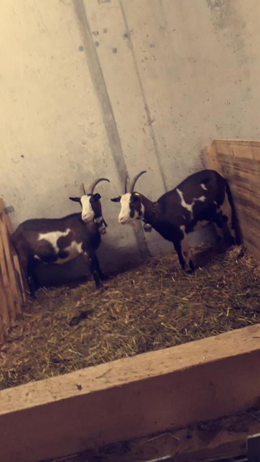 דירות אנדלסבוך Bauernhof Farnach מראה חיצוני תמונה